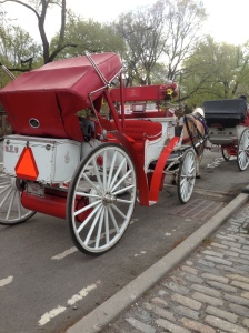 A horse drawn carriage in Central Park